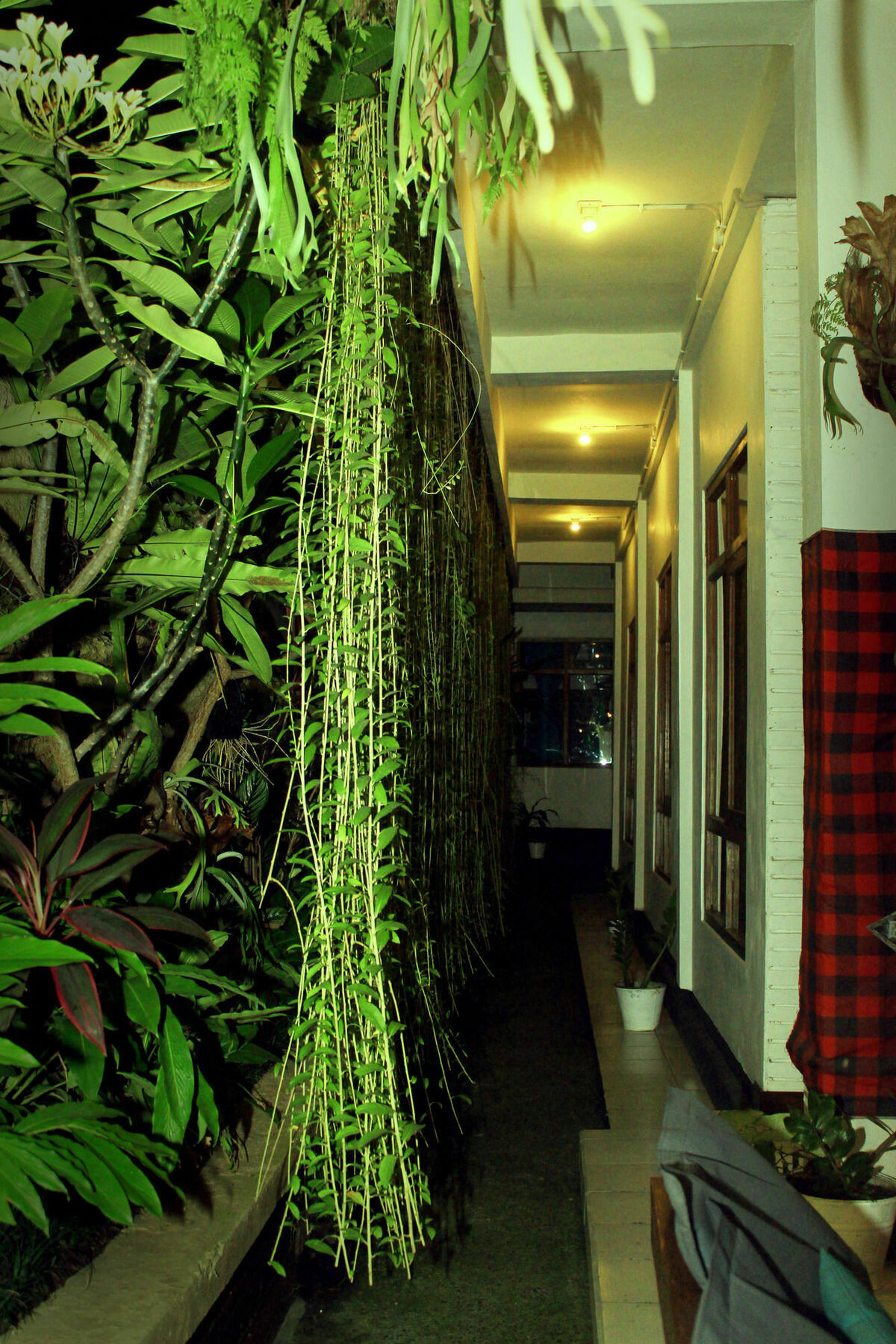 Friendly House Bali Hostel Ubud  Ngoại thất bức ảnh